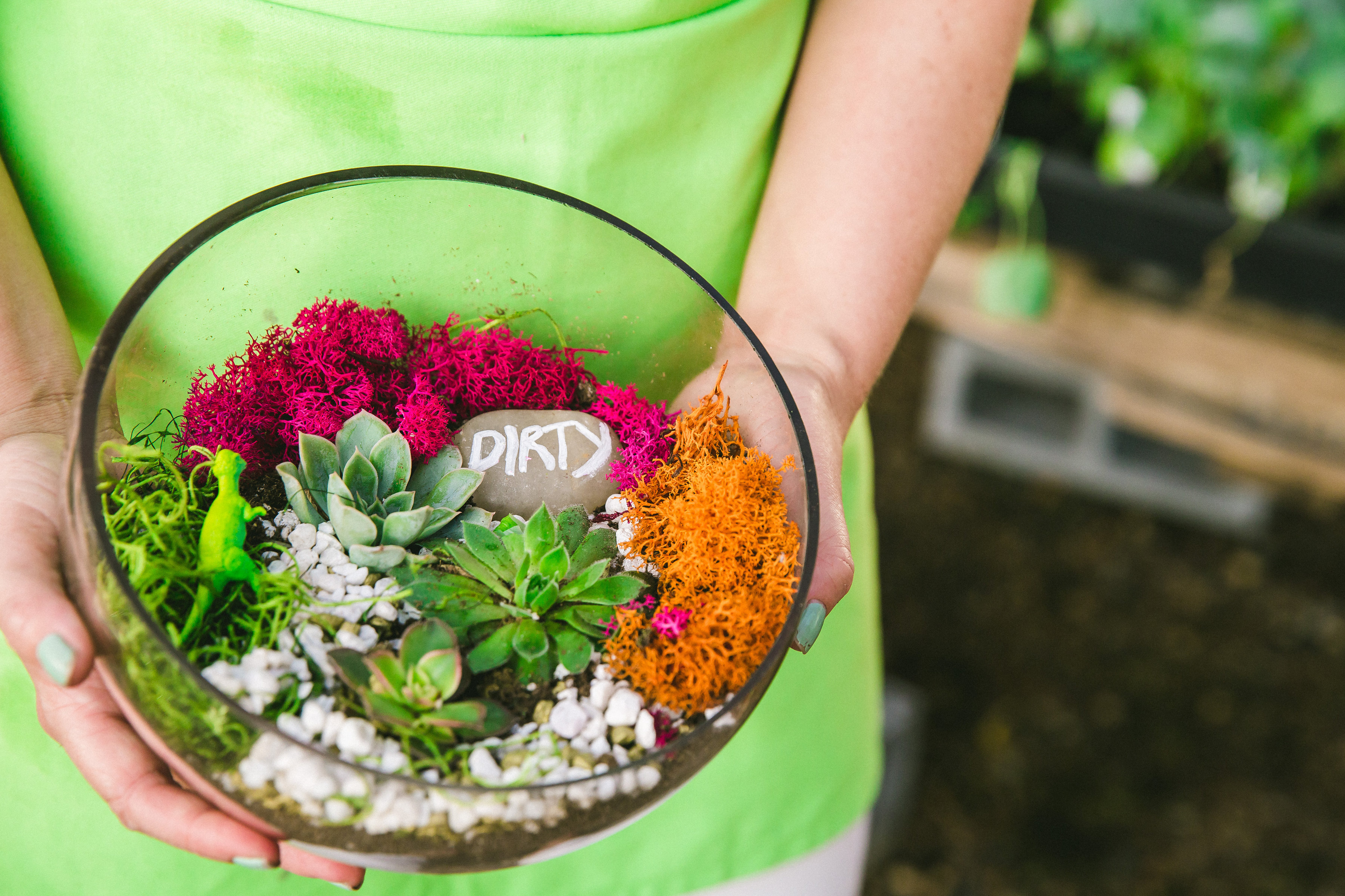 Make Your Own Terrarium at Plant Nite